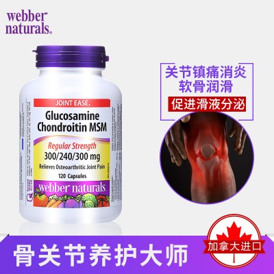 Gluco/Chon/MSM 300/240/300mg三合一氨糖软骨素MSM120粒关节炎改善